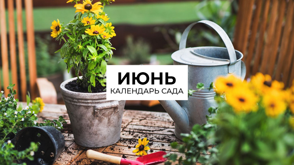 Календарь на июнь