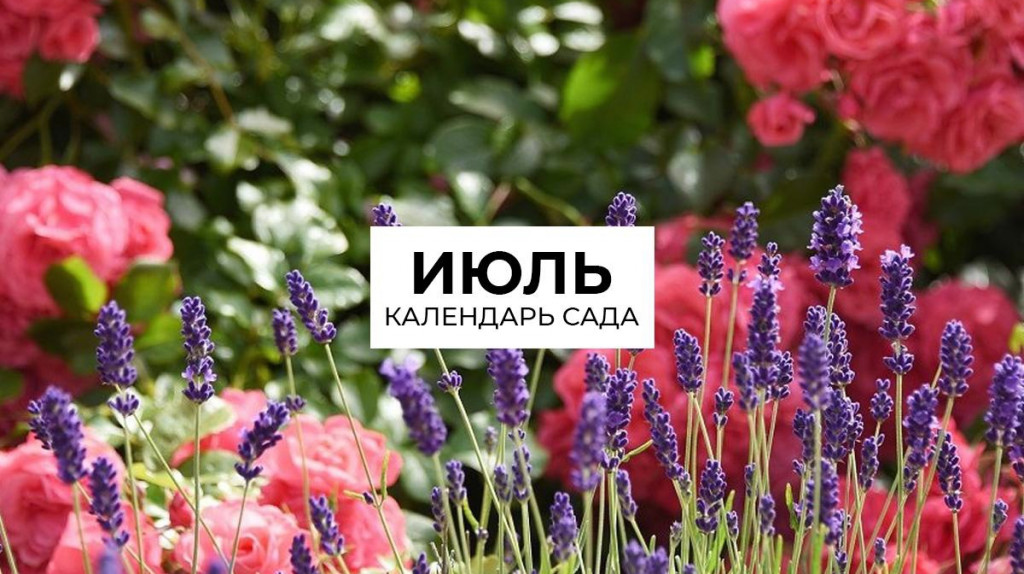 Календарь на июль