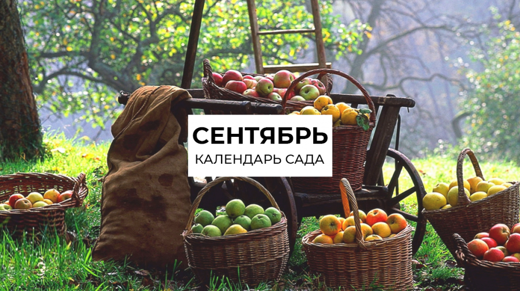 Календарь на сентябрь