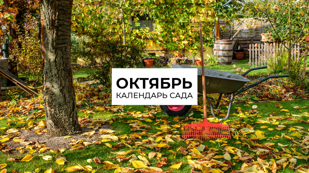 Календарь на октябрь