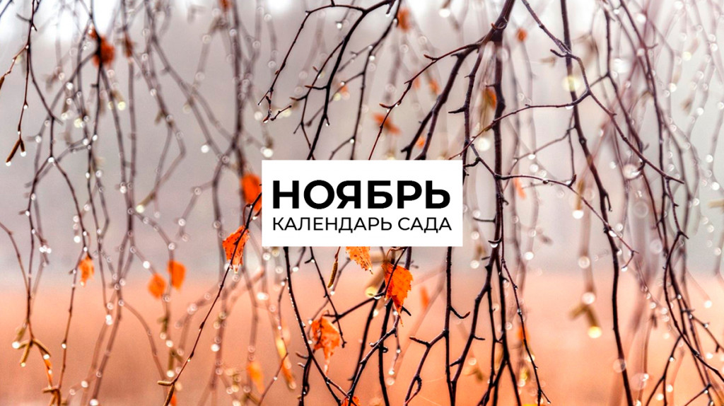 Календарь на ноябрь