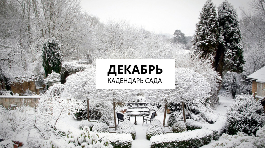 Календарь на декабрь