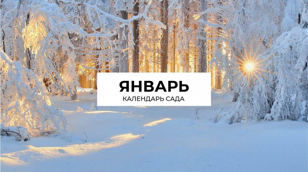 Календарь на январь